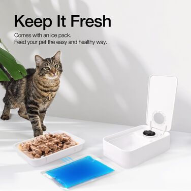 Автоматичний диспенсер для котячого та собачого корму ALL FOR PAWS: таймер, миється, для сухого та вологого корму