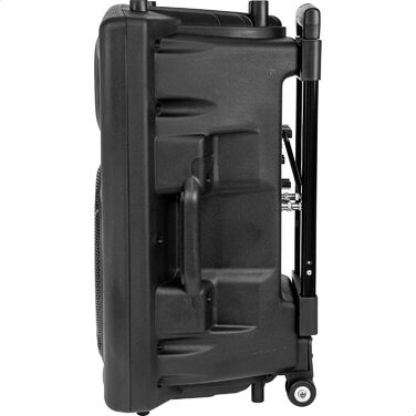 Портативна акустика Ibiza PORT12VHF-BT 12