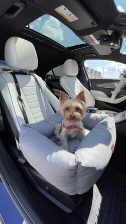 Автокрісло для собак, переноска для тварин у автомобіль, 56x51x20 см (Сірий)