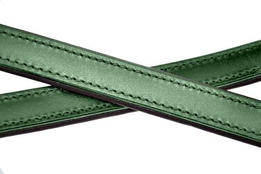 Leather Dog Leash - Training Leash - Leather Leash for Dog - Leash 3-Way Adjustable, for All Dogs (230cm, Green)