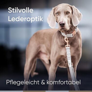 Нашийник для собак Freudentier з веганської шкіри, подарунковий мішечок, м'який, регульований та міцний. Підходить для собак середніх та великих порід, обхват шиї 34-49 см, ширина 2 см.