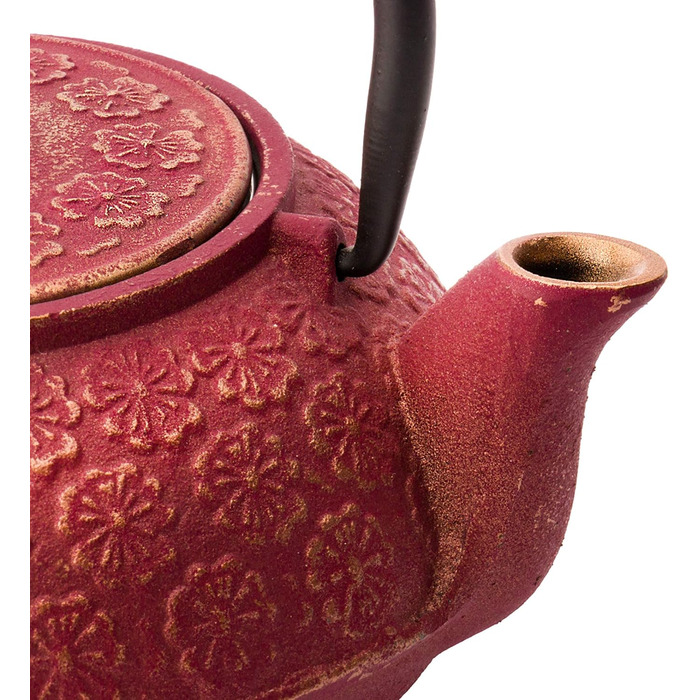 Bredemeijer Red Asian Cast Iron Teapot Set 0.6 Liter with 2 Cups