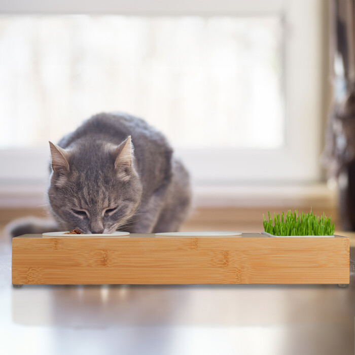 Relaxdays Cat Food Station & Cat Grass Bowl