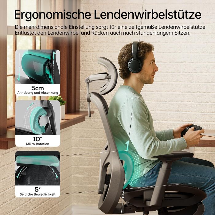 Hbada P2 Air Ergonomic Office Chair with 3D Lumbar Support, Adjustable Headrest & Armrests, Mesh Back, for Home & Office - Black (Luxury Edition)