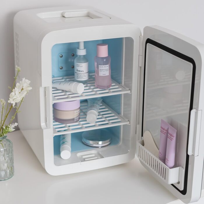 Flamingueo 10L Mini Fridge - 12V/220V Cosmetic & Skincare Fridge with LED & Mirror