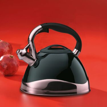 Kela Induction 3 L, Stainless Steel Camping Kettle, with safe pouring spout lid opening via button, VARUS, black gloss black single kettle