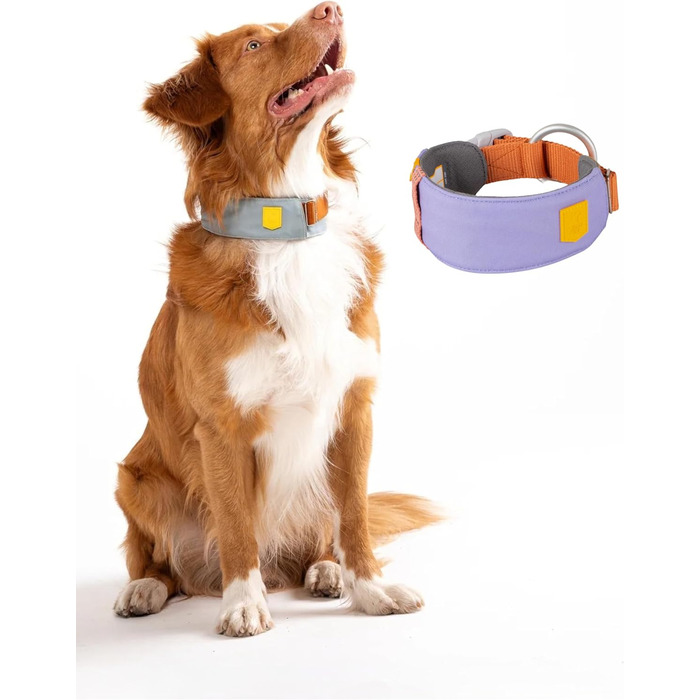 Нашийник для собак середнього розміру Woolly Wolf Alpha 360, колір Гляцієрово-зелений - екологічний, світловідбиваючий, для підвищеної безпеки при поганій видимості (L)