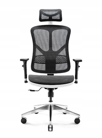 Ергономічне офісне крісло Diablo Chairs V-Basic до 150 кг, чорно-біле