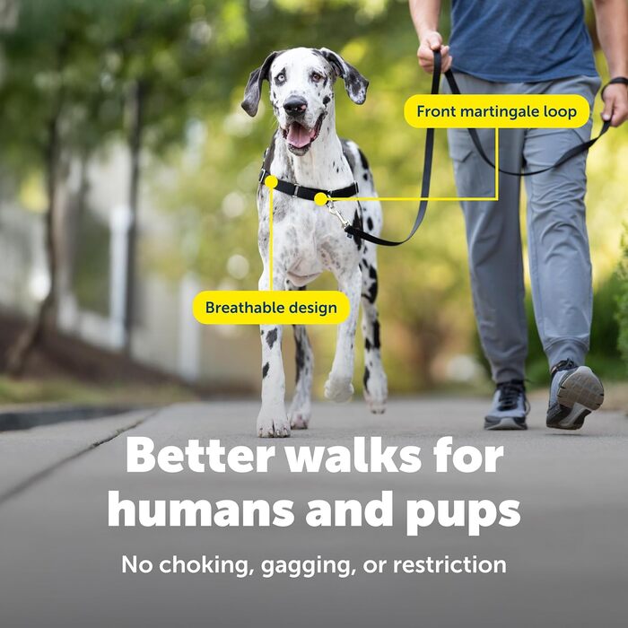 Нашийник для собак Petafe Eay Walk, запобігає потягування, чорний, XL