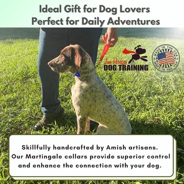 Нашийник для собак Artingale від JI HODGES, Biothane, не тягне, професійна якість, розмір XXS (блакитний)