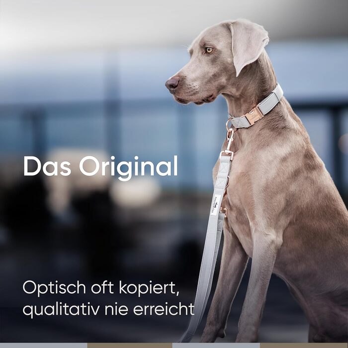 Нашийник для собак Freudentier з веганської шкіри, подарунковий мішечок, м'який, регульований та міцний. Підходить для собак середніх та великих порід, обхват шиї 34-49 см, ширина 2 см.