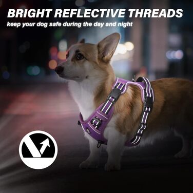 Нашийник для собак No-Pull, грудна шлейка для малих, середніх та великих собак - м'яка, дихаюча, регульована, світловідбиваюча, анти-тяга з м'яким гачком, фіолетовий M