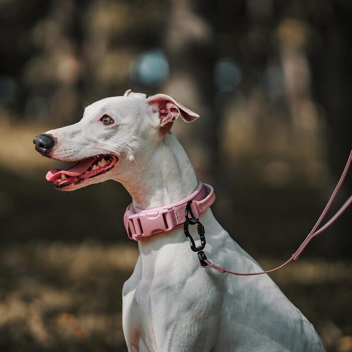 Нашийник для собак OneTigris, тактичний, XS (25-33 см), рожевий