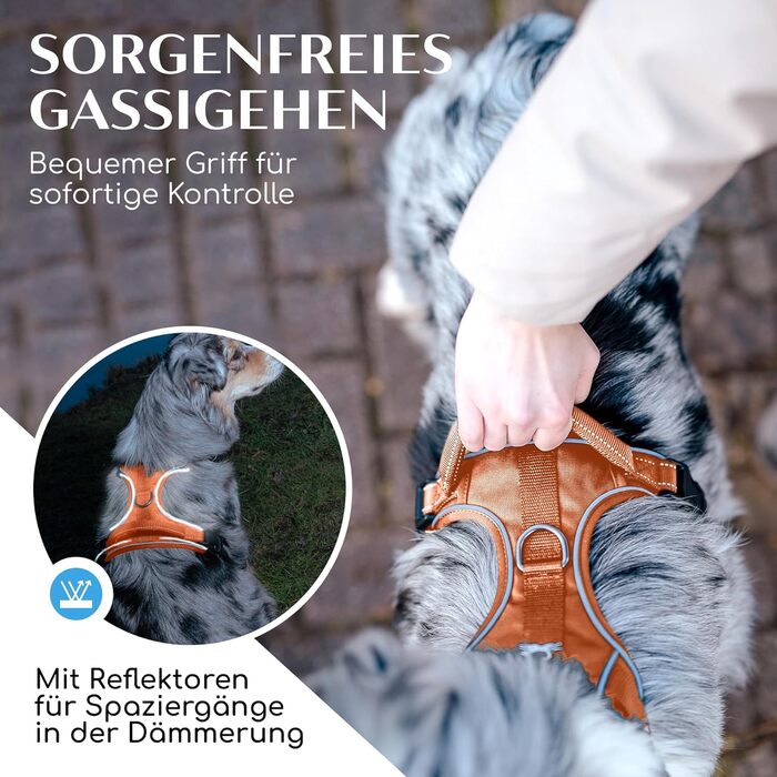 FREUDENTIER Dog Harness with Mesh Padding - Maximum Comfort, Bombproof Fit & Maximum Security - Anti-Pull Front Ring - Chest Harness for Large, Medium, and Small Dogs (XL, Orange)