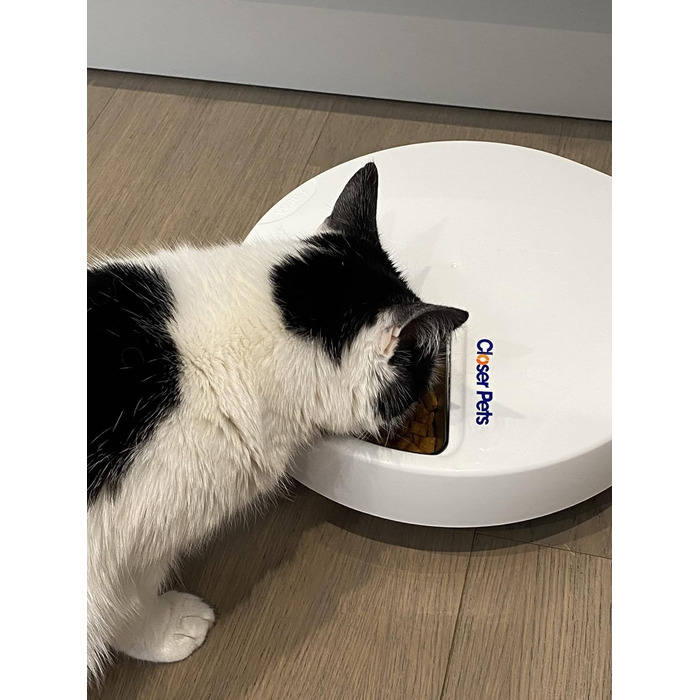 Автомат для годування Closer Pets C500 з таймером – для котів та маленьких собак, 5 мисок, до 330г на порцію, з акумуляторами охолодження, білий