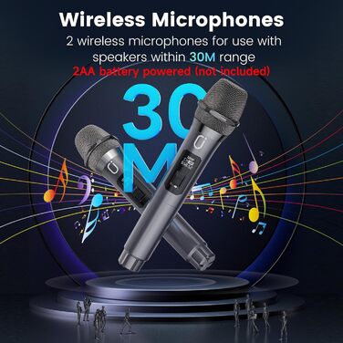 Караоке система JYX з 2 бездротовими мікрофонами, портативна Bluetooth колонка для дорослих та дітей, PA система, підтримка TF картки/USB, AUX вхід, TWS для вечірок (D19-T)