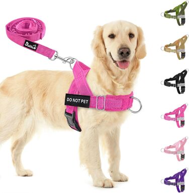 Нашийник для собак Eyein, XL, Маджента: м'який, без обмеження руху, для прогулянок та тренувань