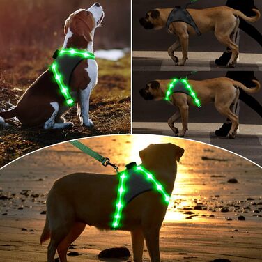 Світловідбиваючий шлейка для собак Chakit ED, світловідбиваючий, для собак з ED, безпечний, для нічних прогулянок, зелений, розмір M