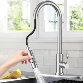 Кухонний змішувач Wasserhahn з висувною лійкою, поворотний на 360°, 2 функції, однорідний, для кухні (сріблястий)