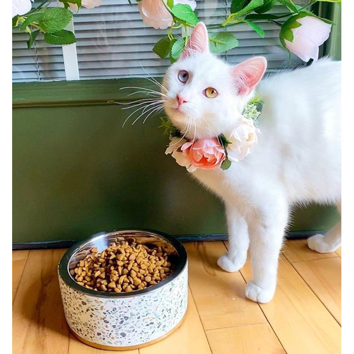 Миска для корму Pet Junkie Terrazzo з нержавіючої сталі для собак та котів, піднята, біла, маленька