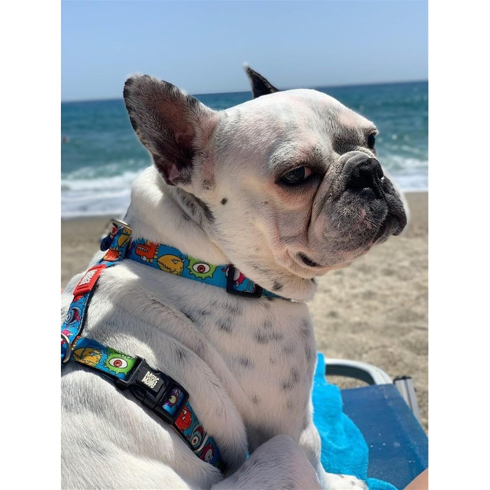 Нашийник для собак Max & Molly H-подібної форми, Ultrabequemes Geschirr Hund, Neopren, XS, Маленькі породи, М'який, Безпечний, Ultraleicht, для маленьких собак