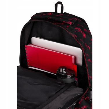 Багатосекційний шкільний рюкзак CoolPack, багатоколірний, 30 л