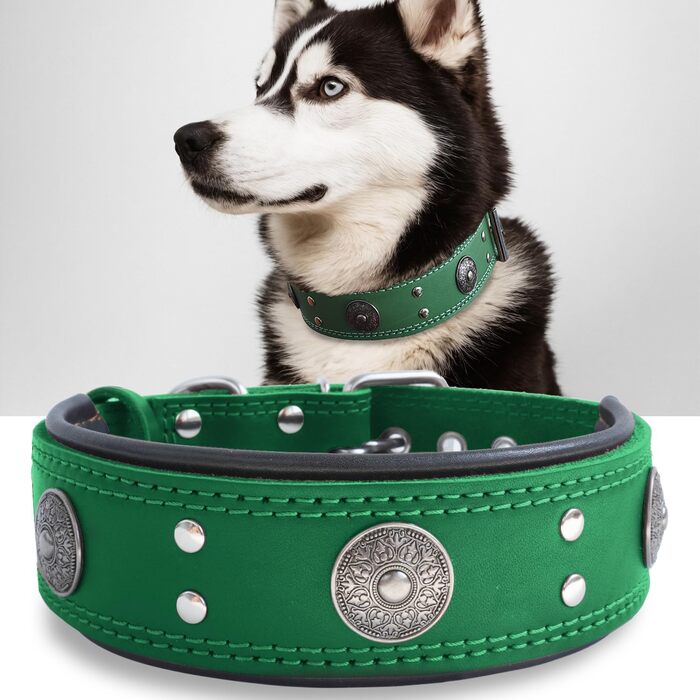 Leather Dog Collar, 5 cm Wide Robust Genuine Leather Collar, Handcrafted, Soft and Luxurious, Striking Best Choice for Large and Medium Dog Breeds (42-52 cm, green)