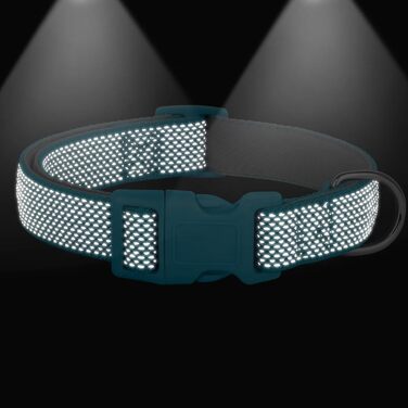 Світловідбиваючий нашийник для собак Didog з пряжкою, регульований, м'який неопрен, з підкладкою, нейлон, для малих, середніх та великих собак, зелений, L (M: Neck 25-43cm, Blue)