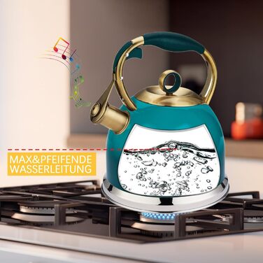 Чайник-свисток 3л з нержавіючої сталі з термостійкою ручкою, для індукційних плит (блакитний)