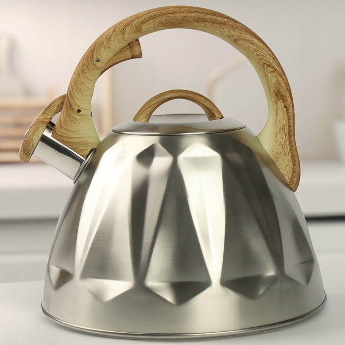 Класичний сталевий чайник Karl Hausmann, 3 л, сірий