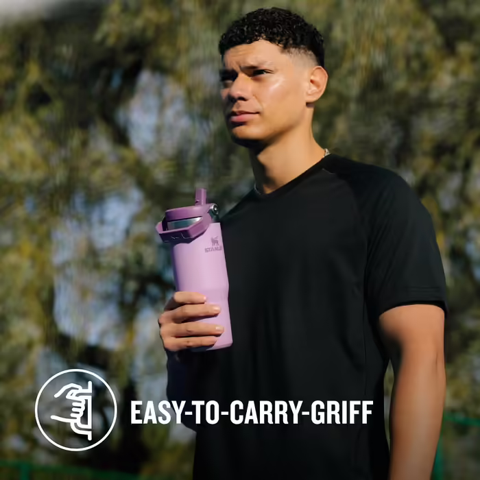 Stanley Flip Straw Tumbler 1.0 Water Bottle with Straw 0.89L - Thermos Bottle Keeps 12+ Hours Cold - Dishwasher Safe - Sports Bottle - Water Bottle BPA Free - (Lilac)
