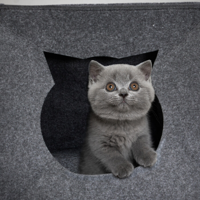 Relaxdays Cat Cave Felt