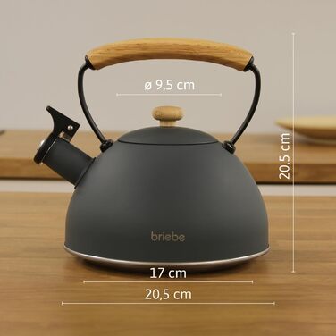 Чайник електричний Nordic Wasserkessel Induktion 2.3L з нержавіючої сталі, для чаю та кави, з нержавіючої сталі, сірий, сумісний з усіма типами плит