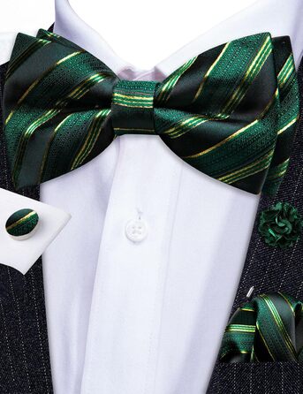 Комплект краватки та хустинки Barry.Wang Paisley, чоловічий, для весілля та урочистих подій (Зелено-чорний)