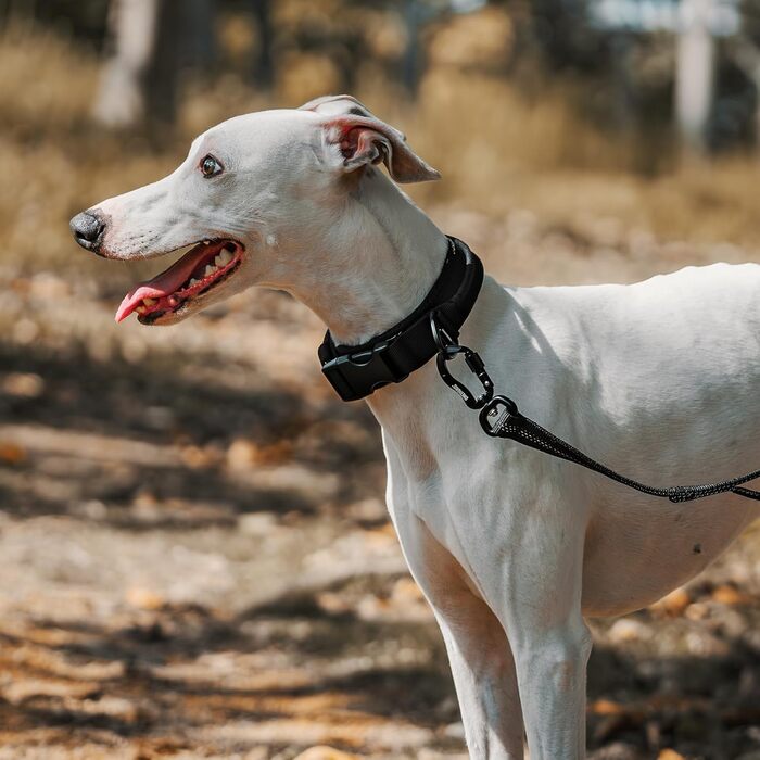 Нашийник для собак OneTigris, тактичний, з ручкою, чорний, S (25-33 см)