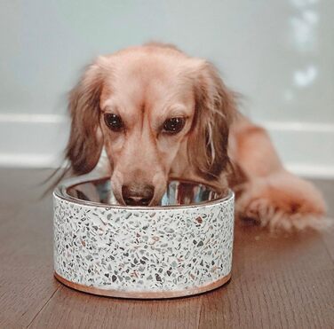 Миска для корму Pet Junkie Terrazzo з нержавіючої сталі для собак та котів, піднята, біла, маленька