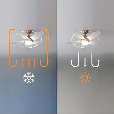 Стеляний вентилятор Cecotec EnergySilence Aero 495 з підсвічуванням, 55W, 42 дюйми, 5 лопатей, LED, пульт, таймер, 3 швидкості (золотий білий)