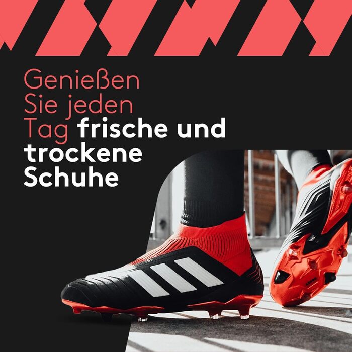 Сушар для взуття Ozone SHOEDRY з озоновою технологією: знищує бактерії та грибок, видаляє неприємні запахи, забезпечує свіжість та чистоту, енергоефективний