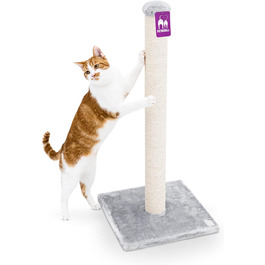 Petrebels Premium Quality Cat Tree Maine 90 cm High, with Extra Stable Base Plate and Natural Sisal Post, 40 x 40 x 90 cm, Color /Beige (Gray)