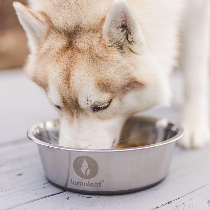 Миска для собак LumoLeaf з нержавіючої сталі, велика, 2 шт по 3000 мл, з неслизьким силіконовим дном, для великих і середніх собак, миска для води та корму, придатна для миття в посудомийній машині (подвійний набір)