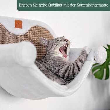 Кішка-гамак Pfotenolymp® для котів до 10 кг | Кріплення на стіну | Висока стабільність | Години розваг з дряпанням | Гігієнічний та легкий у догляді | Екологічний | Легка установка