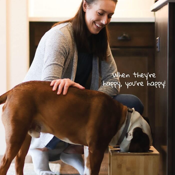 Підставка для корму для собак Pawfect Pets з бамбука, 17.8 см, 4 миски з нержавіючої сталі, для середніх собак