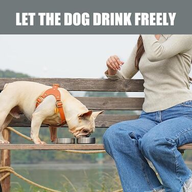 Портативна собача пляшка для води з мискою 950 мл – ізольована сталева фляга для собак, BPA-free для подорожей та прогулянок (Сірий, L)