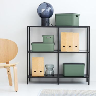 Rotho Jive 3-Piece Storage Box Set, 10L with Lid, Plastic, Anthracite (Green)