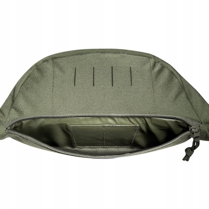 Модульна поясна сумка Tasmanian Tiger Modular Hip Bag 2, зелена